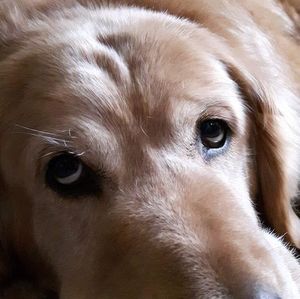 Meet your Posher, Louise